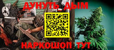 прущие грибы Камышлов