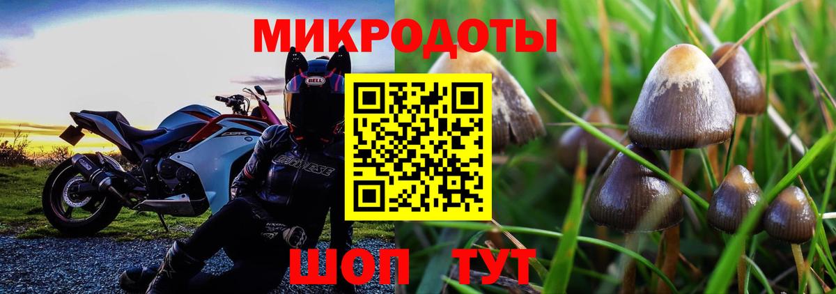 Холмск  Галлюциногенные грибы Cubensis  Вход с VPN  Псилоцибиновые грибы мицелий 